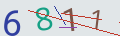 verifycode